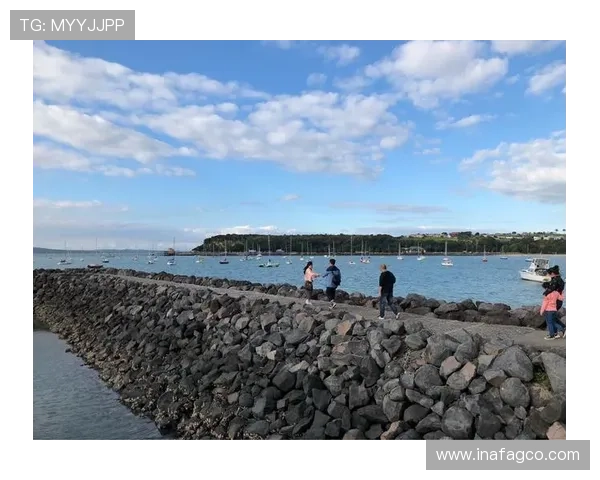 波波维奇破门悉尼11奥克兰被平